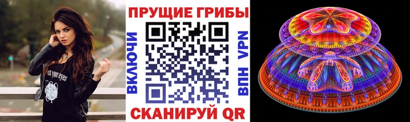 Псилоцибиновые грибы Cubensis Нерчинск